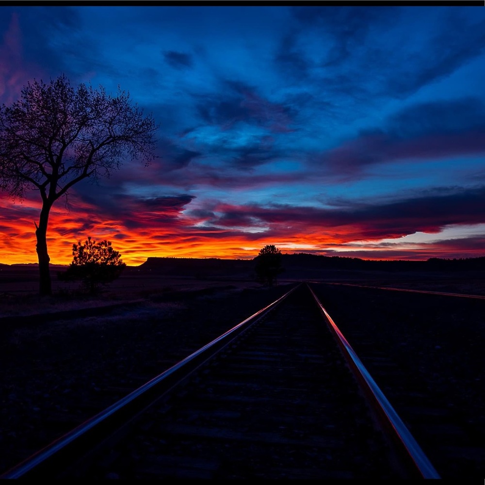 Meet your Posher, Lacey